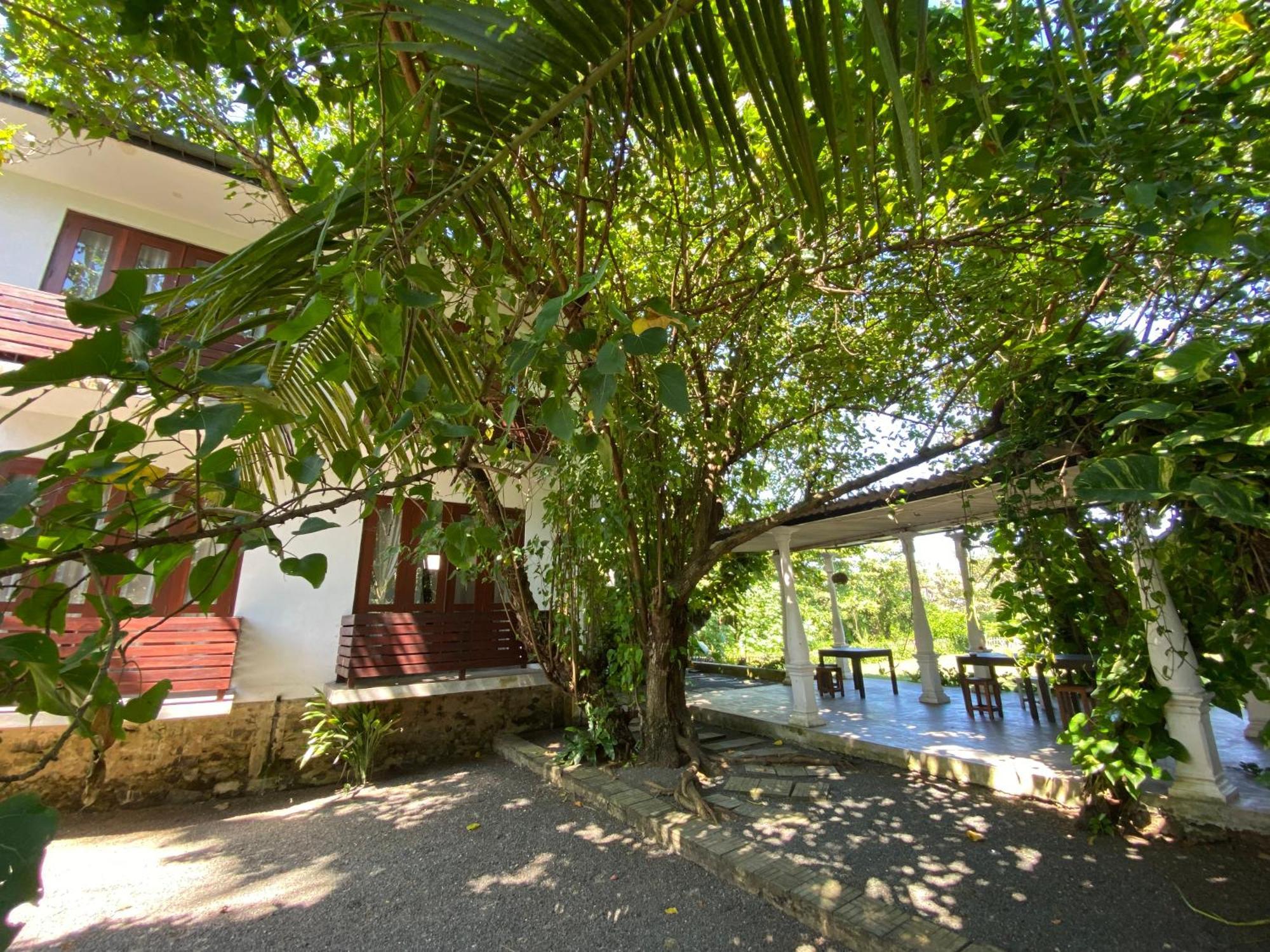 Lake House Hikka Hikkaduwa Exterior foto